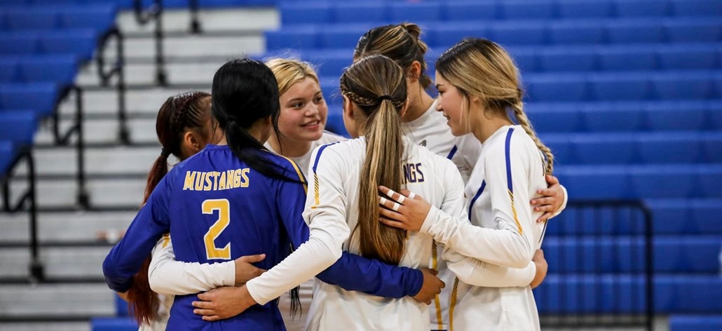 volleyball players