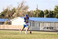 mustang football player