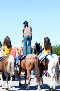 Horses and riders in parade