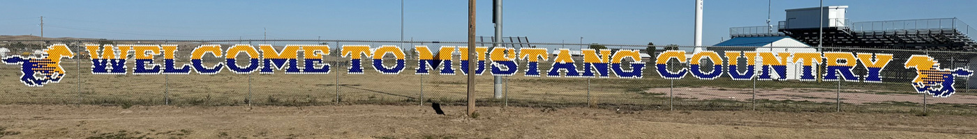 mustang country
